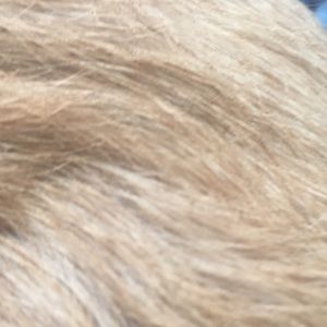 Meet your Posher, Jesse